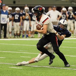 Meet your Posher, Brady